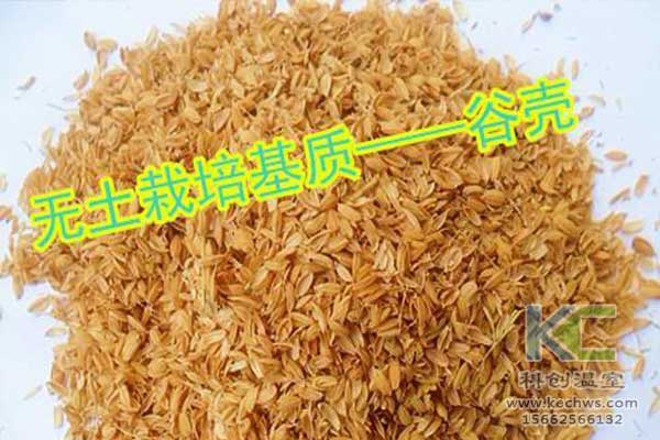 無(wú)土栽培，無(wú)土栽培技術(shù)，無(wú)土栽培設(shè)備
