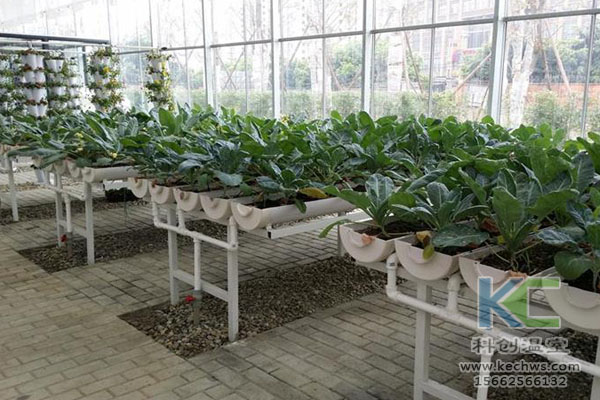 無(wú)土栽培，無(wú)土栽培技術(shù)，無(wú)土栽培設(shè)備
