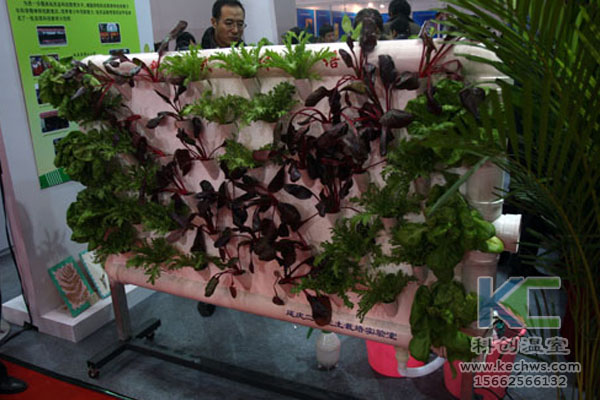 蔬菜大棚無(wú)土栽培，無(wú)土栽培技術(shù)，溫室大棚，大棚
