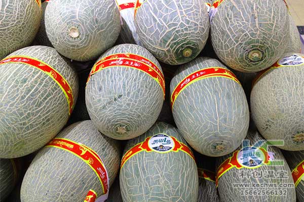 無土栽培，無土栽培技術(shù)，無土栽培設(shè)備