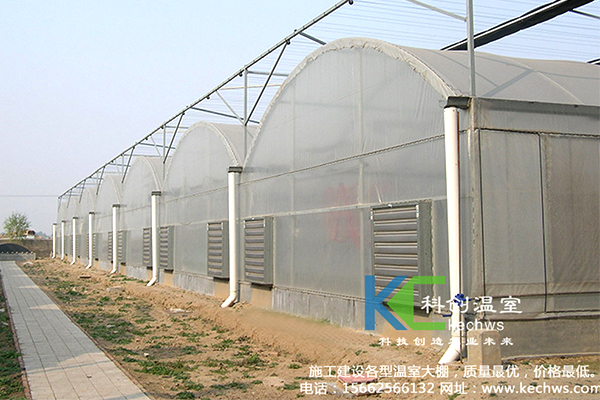 無(wú)土栽培，無(wú)土栽培技術(shù)，無(wú)土栽培設(shè)備