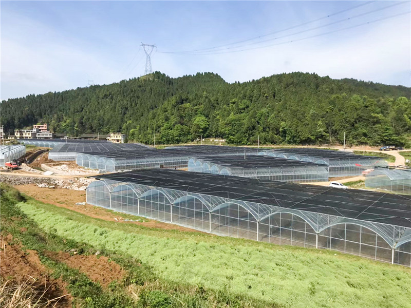 無土栽培，無土栽培技術，無土栽培設備