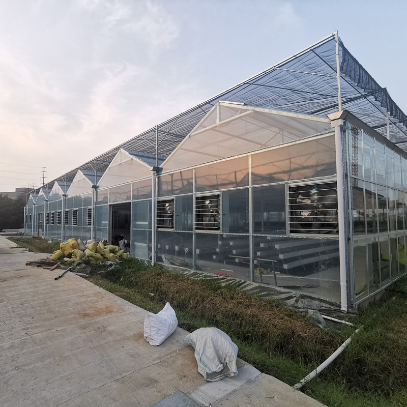 無土栽培，無土栽培技術，無土栽培設備