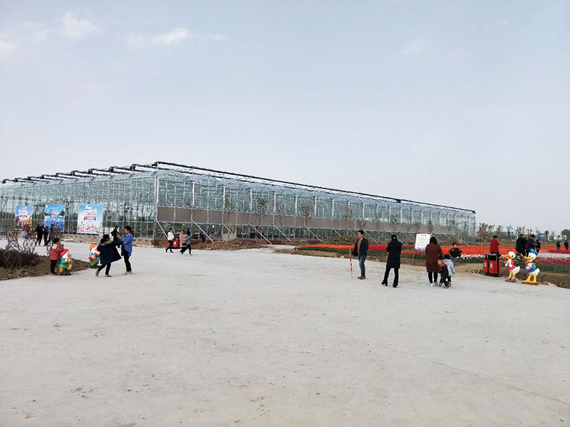 無土栽培，無土栽培技術(shù)，無土栽培設(shè)備
