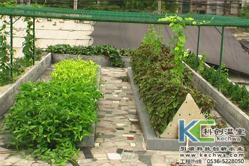 無土栽培，無土栽培技術，無土栽培設備