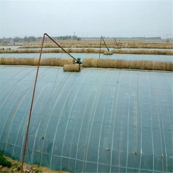 無土栽培，無土栽培技術，無土栽培設備