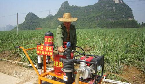 無(wú)土栽培，無(wú)土栽培技術(shù)，無(wú)土栽培設(shè)備