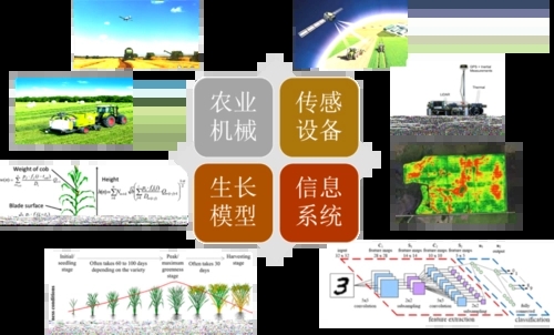 無(wú)土栽培，無(wú)土栽培技術(shù)，無(wú)土栽培設(shè)備