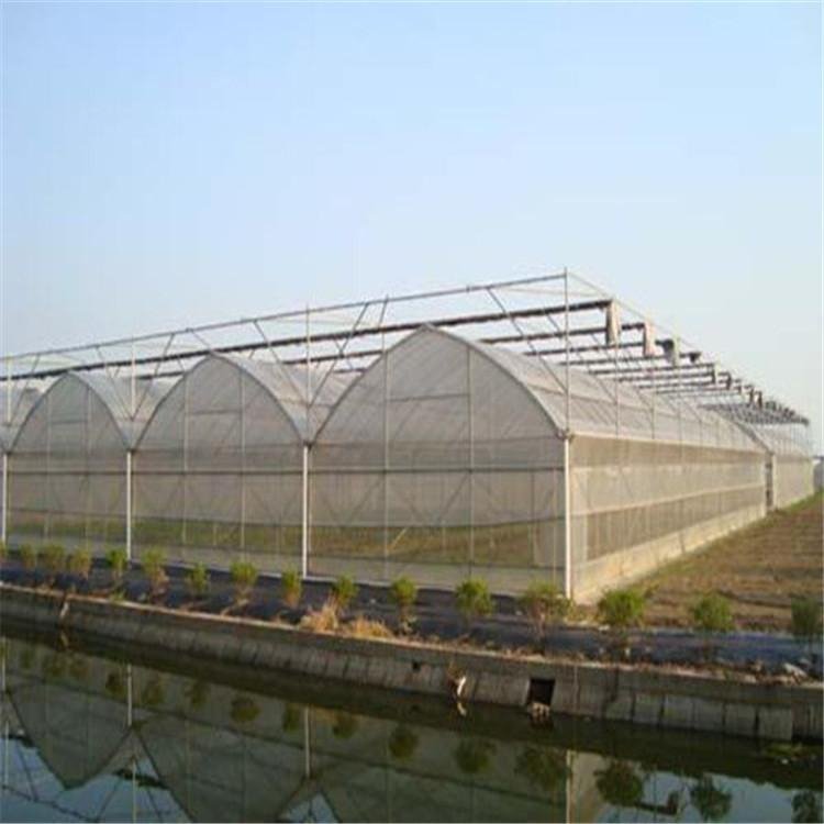 無土栽培，無土栽培技術(shù)，無土栽培設(shè)備